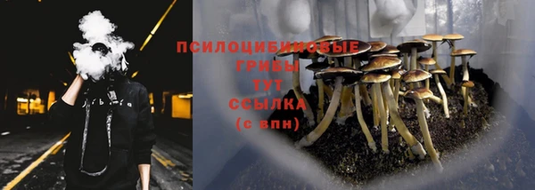 твердый Алексин
