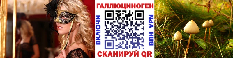 Псилоцибиновые грибы MAGIC MUSHROOMS нарко площадка какой сайт Электрогорск сколько стоит