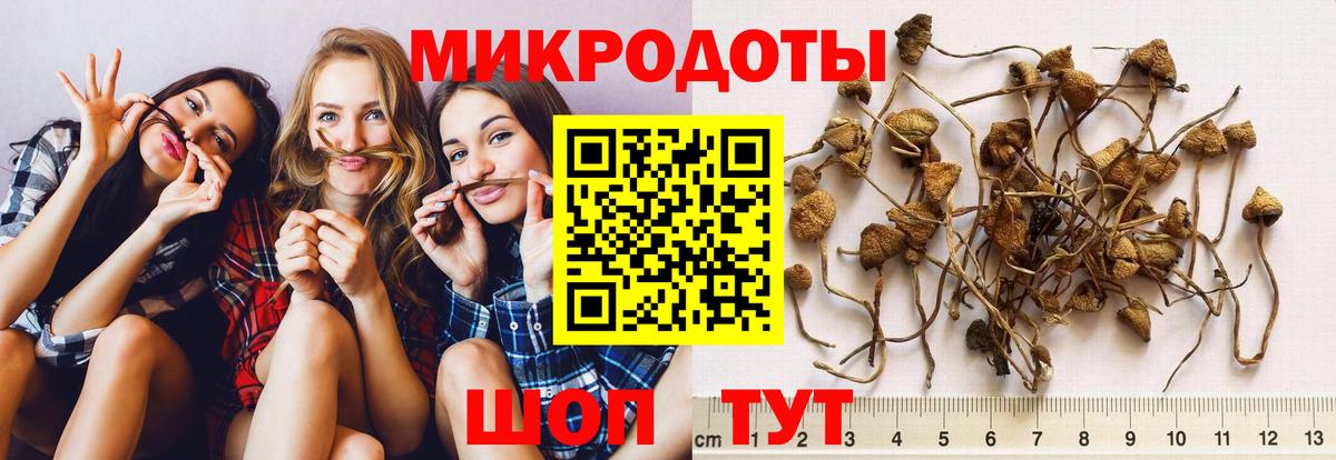 Электрогорск  Галлюциногенные грибы ЛСД  Вход с VPN 